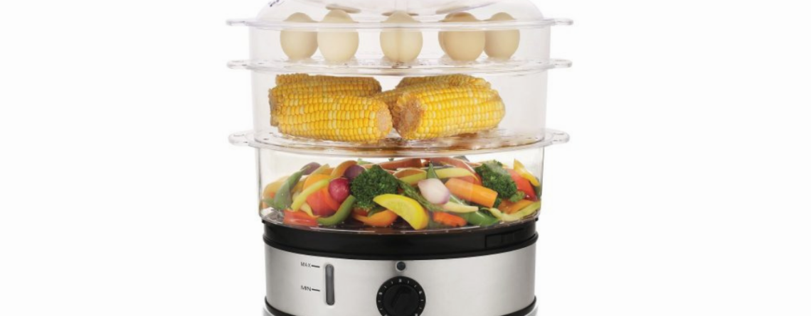 Best Electric Vegetable Steamers in 2022 - Start Your Healthy Diet!