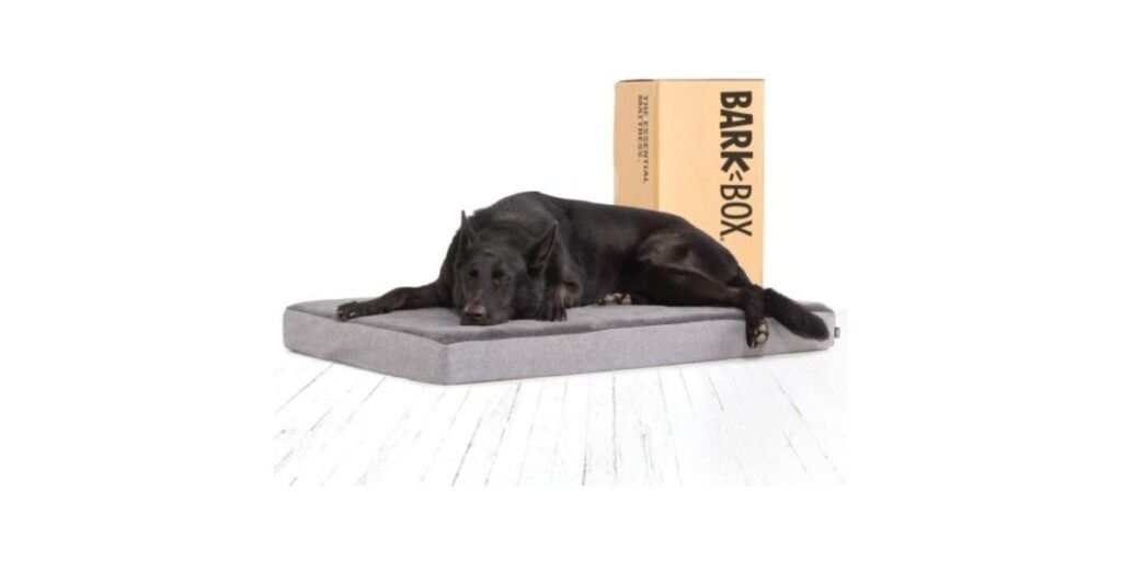 Dog Beds