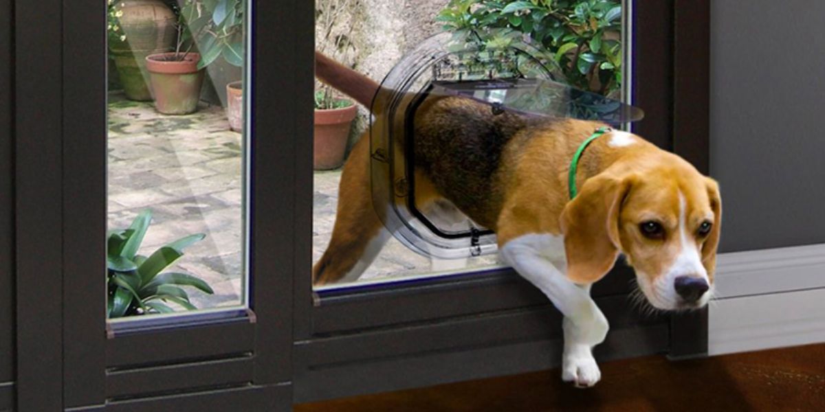 Dog Doors