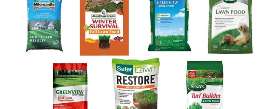 Lawn Fertilizer