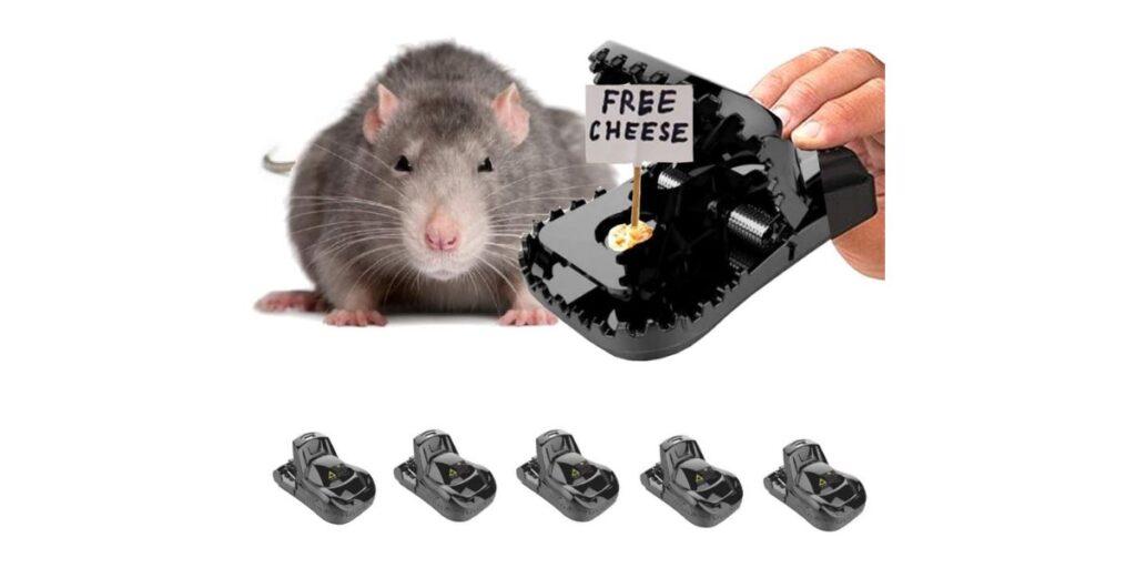 Mouse Traps