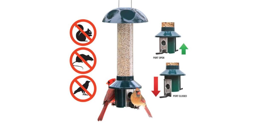 Squirrel Proof Bird Feeder