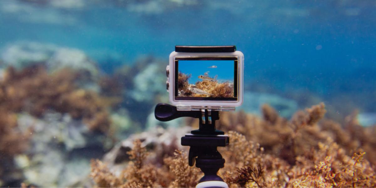 Underwater Photography Cameras