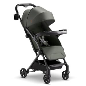 best Strollers