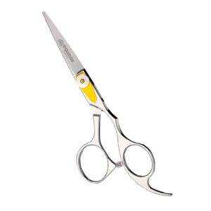 hair cutting shears