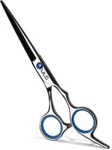 hair cutting shears