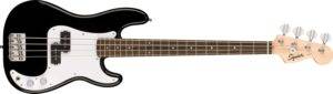 Electric Bass Guitars