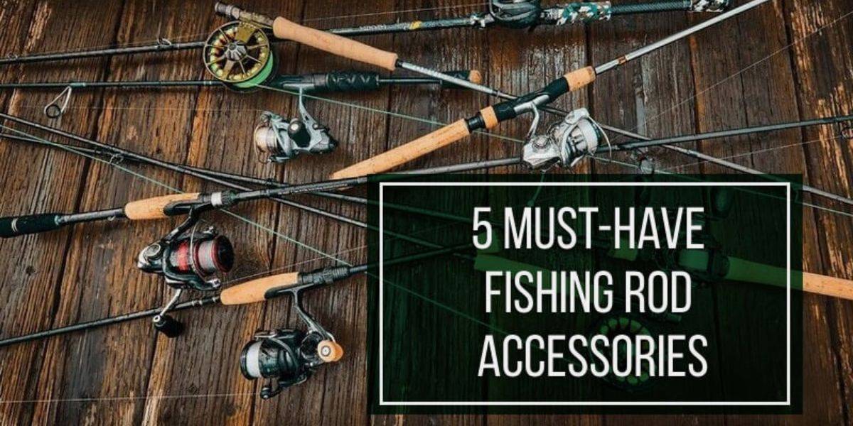 fishing rods and accessories