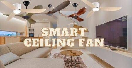 Ceiling Fan