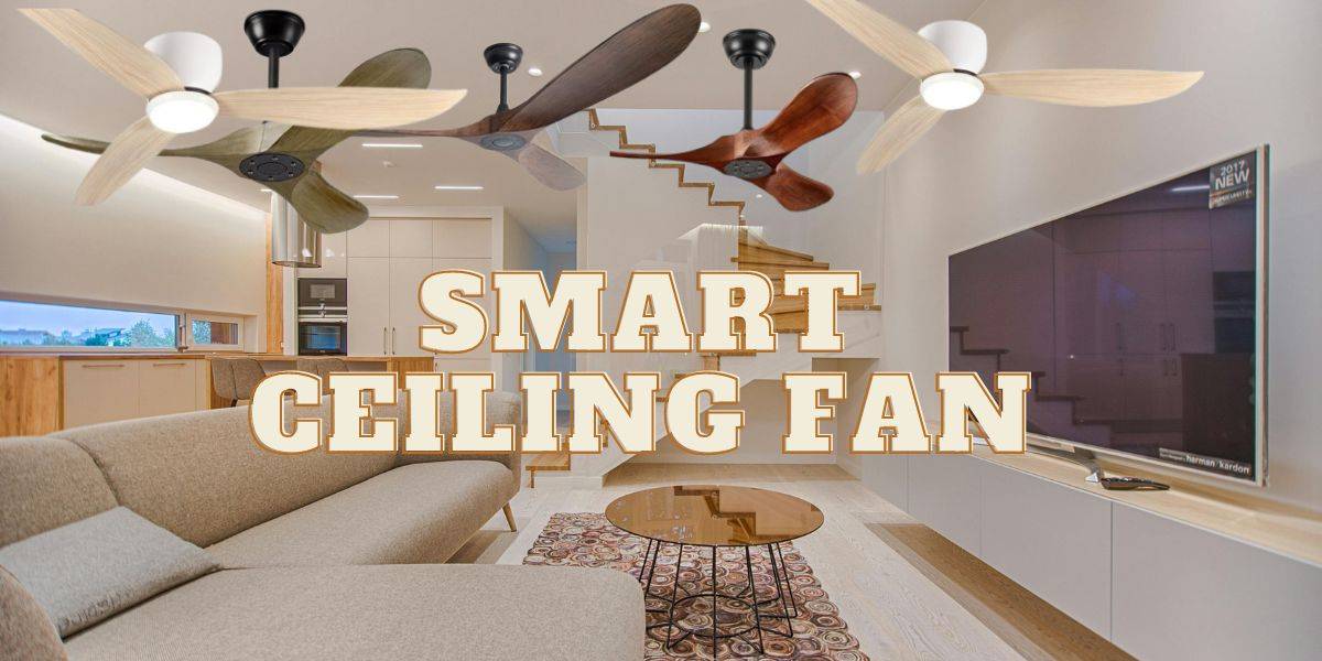 Ceiling Fan