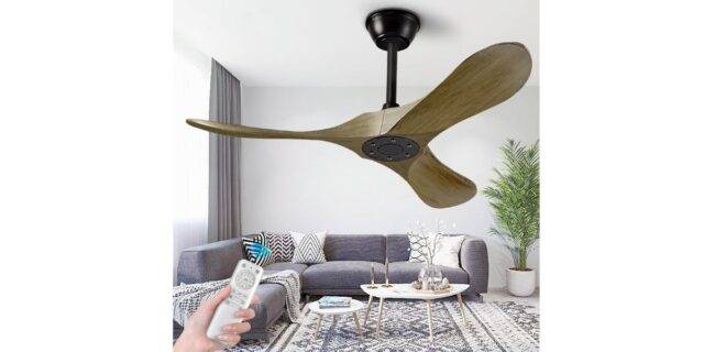 Ceiling Fans