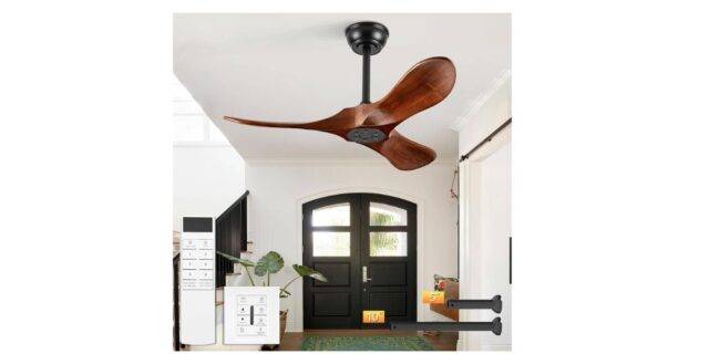 Ceiling Fans