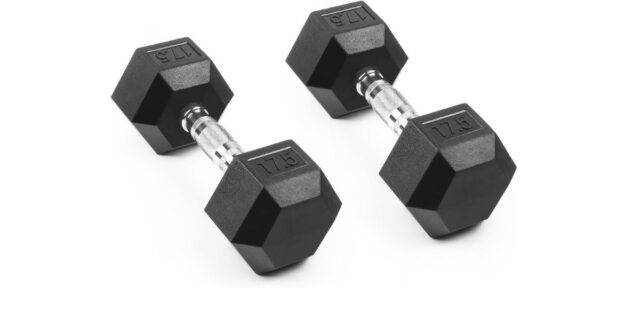 Hand weight Dumbbells