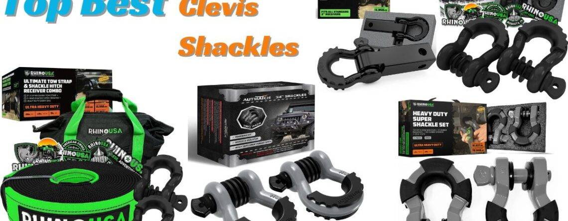 Clevis Shackle