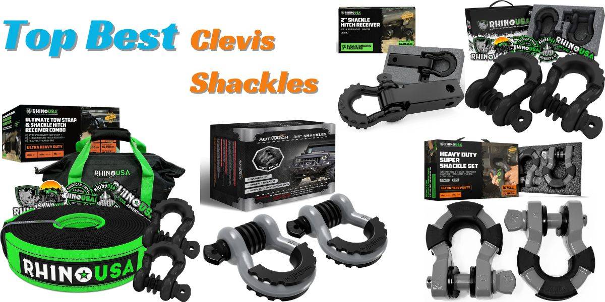 Clevis Shackle