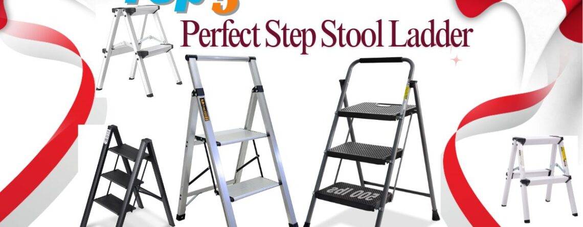 Step Stool ladder