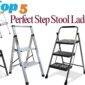 Step Stool ladder