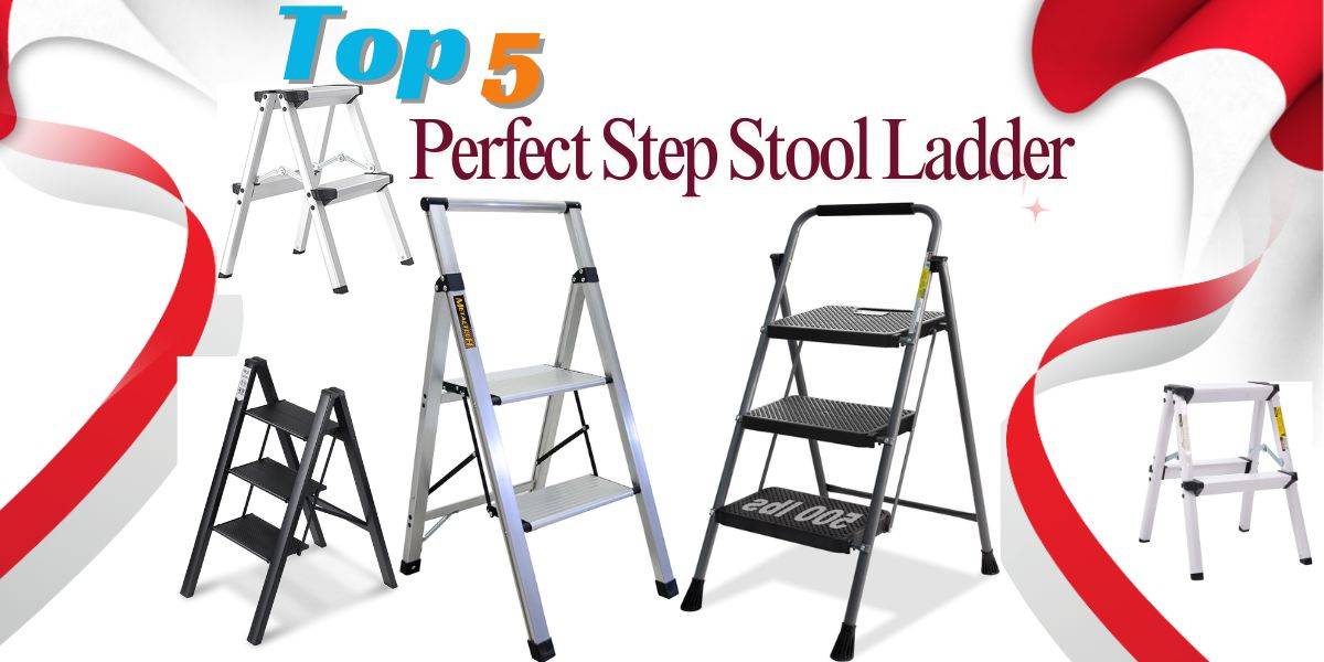 Step Stool ladder