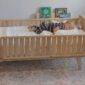 Bed Frame For Kids